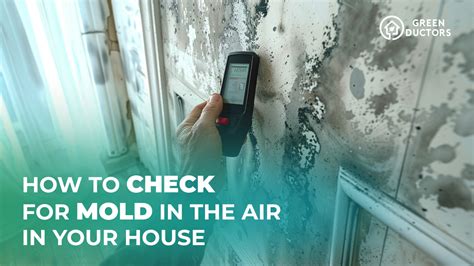 How to Test for Mold (Even If You Can't See It) .